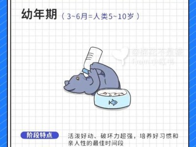 揭秘猫咪最新年龄换算表！（猫咪1岁=人7岁，原来是错的！）