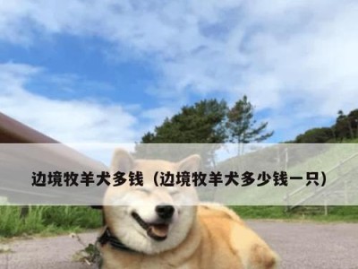 养一只边牧需要多少钱？（边牧饲养成本及相关费用分析）