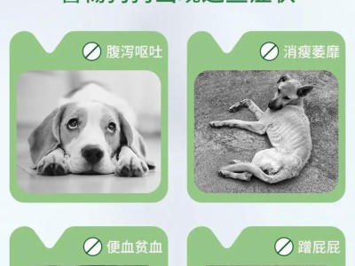 狗狗驱虫攻略——如何判断狗狗是否有寄生虫？（轻松辨别狗狗是否感染寄生虫，为它们健康护航！）