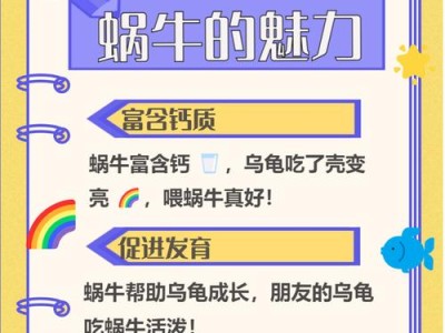 小乌龟的饮食需求与适宜食物（为您解答小乌龟的饮食问题）