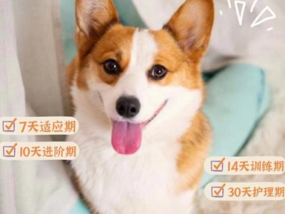 从零开始养狗（养狗新手必看，带你一步步成为专业狗爸狗妈）