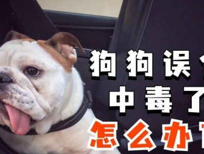狗中毒引发回流血的原因及预防方法（探索狗中毒导致回流血的危害和防范措施）