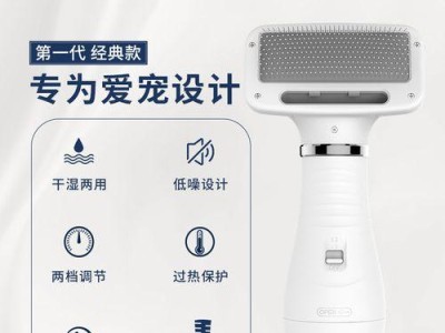探究泰迪洗澡吹毛的最佳风（如何选择适合泰迪的吹风机及注意事项）