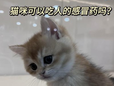 猫咪忌口之禁食清单（15种猫咪不能吃的食物，让你的爱宠远离风险）