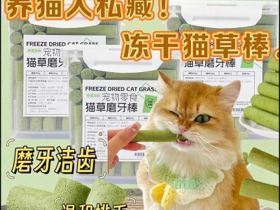 猫咪与猫草的相处之道（探索猫咪如何适量食用猫草，保持健康成长）