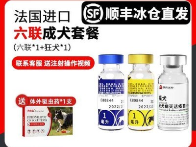 狗狗四连针