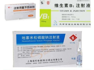 细小病毒的药物治疗之道（探索针对细小病毒的有效药物及疗法）