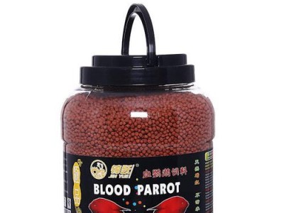 选择适合鹦鹉的鱼食，关注它的健康成长（品牌选择与饮食需求如何相匹配）