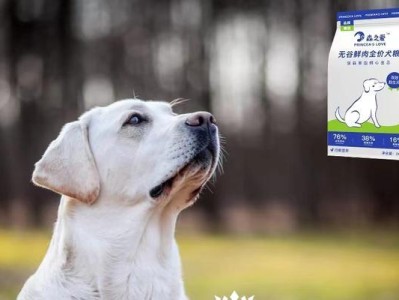 拉布拉多犬的性格及养护指南（了解拉布拉多犬的性格特点，养好你的忠诚伙伴）