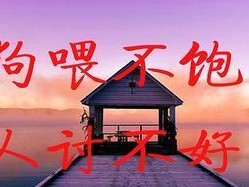 狗的饮食需谨慎，不能喂太饱（如何合理喂养你的狗，）