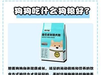如何判断狗狗是否发烧？（快速检测方法及应对策略）