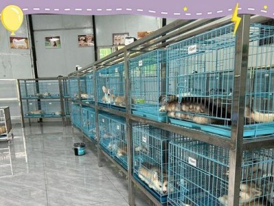 岳阳市好犬舍盘点（探寻岳阳市内优质犬舍，为你的宠物提供最佳居住环境）