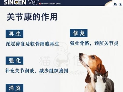 狗狗的钙需求及正确补钙方法（科学补钙保证狗狗骨骼健康）
