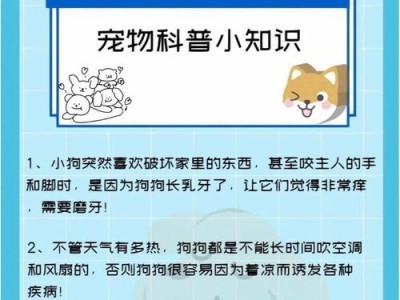 小狗长牙的时间和过程（了解小狗长牙的关键信息）