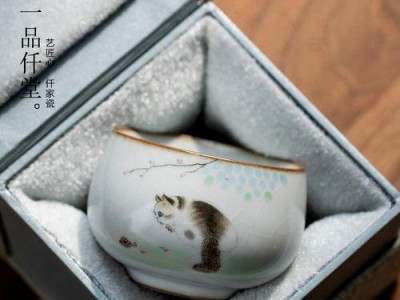 茶杯猫的可爱之魅力（探秘茶杯猫的价格与魅力所在）