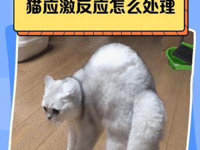 猫的应激反应（揭秘猫咪的应激反应，让你更懂TA）