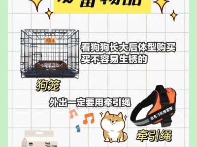 如何正确喂养2个月大的狗狗（喂养幼犬的小知识及——健康成长）