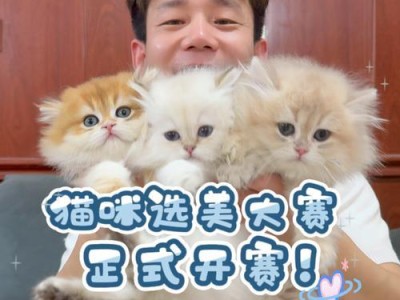 以身子长的猫（揭秘身材突出的品种）