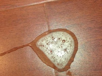 狗吐出来的食物颜色变化之谜（从食物消化到吐出的过程探析）