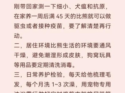科学饲养比熊犬的方法（为您提供比熊犬幸福健康的养育指南）