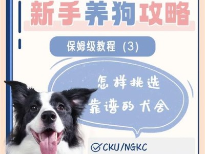 狗狗犬舍消毒的最佳频率（以狗狗犬舍多久消毒一次最好？）
