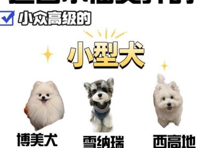 迷你贝吉格里芬凡丁犬（了解迷你贝吉格里芬凡丁犬的天性，选择你的黏人伙伴）