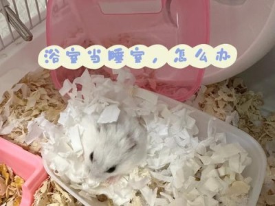 如何应对不磨牙的仓鼠（让你的宠物更健康快乐的小窍门）