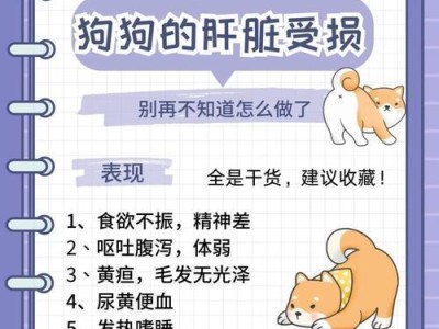 老年狗狗肝炎（老年狗狗肝炎患者的生存期与治疗方法）