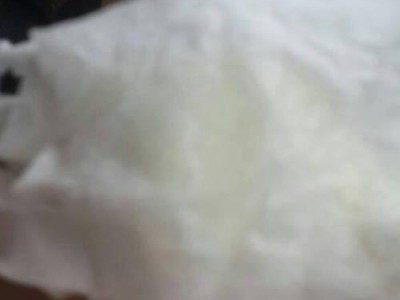 揭开狗狗羊水的颜色之谜（了解狗狗羊水颜色对宠物健康的重要性）