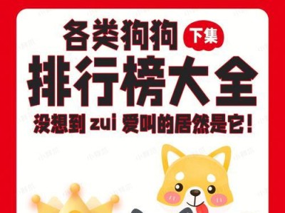 如何以丝毛梗饲养你的宠物狗？（注意事项、健康饮食、适宜运动、社交能力）