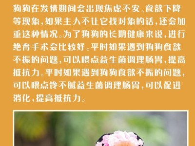 母狗绝育后的恢复时间及注意事项（了解母狗绝育后的恢复周期和护理方法）