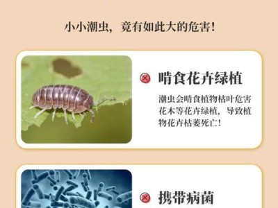 打虫药对进食习惯的影响（调整饮食结构的必要性）