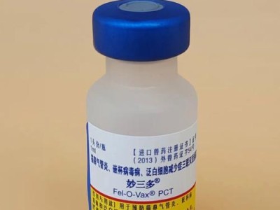 幼猫疫苗接种时间的重要性（保护幼猫健康，正确选择疫苗接种时间）