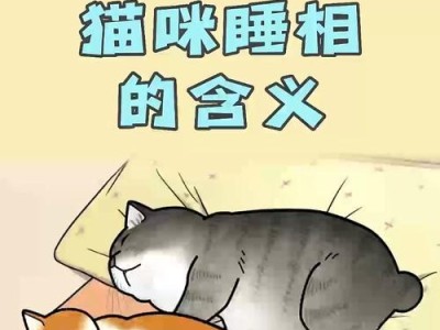 探索猫的意义（揭示猫在人类生活中的重要性与意义）