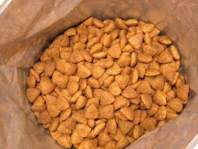 宠物狗的禁食之道（了解宠物狗不能吃的食物，守护它们的健康）