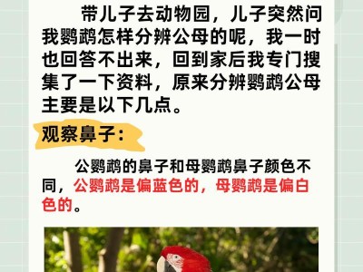 如何准确分辨牡丹鹦鹉的性别（四种常见方法让你秒懂牡丹鹦鹉公母）