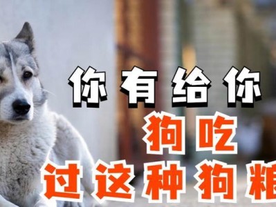 小狗最佳饮食时间是什么时候？（掌握饮食时机，让小狗健康成长）