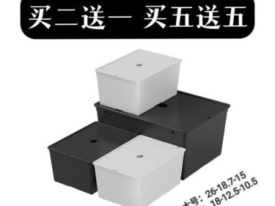 红面泥龟的饲养方法（宠物龟的健康生活指南）