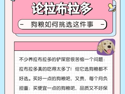 家里养拉布拉多不喂狗粮喂什么好？（拉布拉多的饮食习惯和替代狗粮的选择）