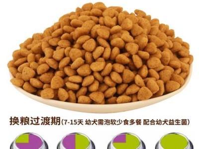小狗两个月没狗粮吃怎么办？（无法购买狗粮时如何保证小狗的饮食健康）