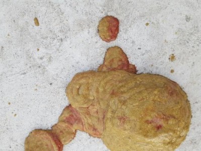 狗狗怀孕屎里有血？！原因和处理方法全解析！（宠物爱好者必看，提前预防保健！）