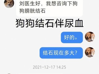 泰迪膀胱肿大的原因及预防方法（了解泰迪膀胱肿大的原因，提早预防病情恶化）