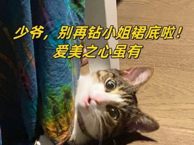 探讨为何有人不喜欢猫（猫咪的可爱与特点引起的不喜欢）