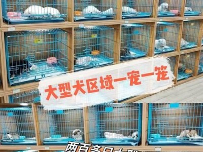 探究博美犬价格差别的原因（市场供需、品质和地域成本是影响博美犬价格的关键因素）