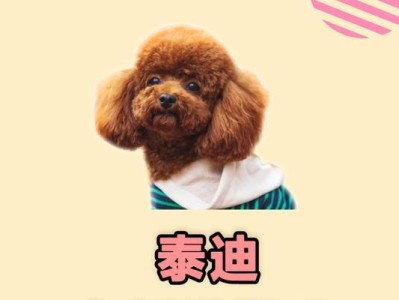 狗狗叛逆期持续多久？（了解叛逆期对于狗主人来说至关重要）