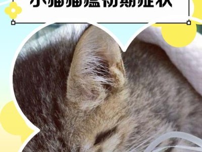 猫瘟病的症状和对症措施（了解猫瘟的症状和如何采取有效的治疗措施）