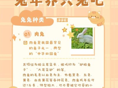 夏天养兔指南（如何在夏季正确照顾宠物兔？）