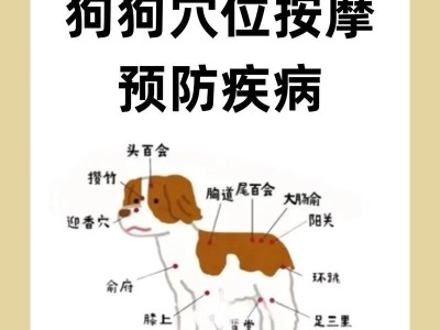导致狗狗拉肚子的食物（了解这些食物，保护你的爱犬健康）