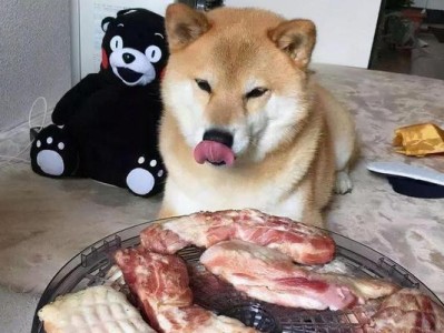 狗狗的美食天堂（了解狗狗喜欢的食物，让它们的尾巴摇摆得更欢快）