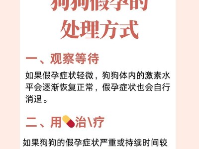 泰迪假孕的持续时间及相关特征（探究泰迪假孕的周期及其症状表现）